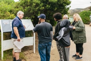 Från Melbourne: Dagsutflykt till Great Ocean Road för en liten grupp