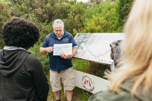 Från Melbourne: Dagsutflykt till Great Ocean Road för en liten grupp