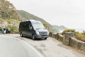 Från Melbourne: Dagsutflykt till Great Ocean Road för en liten grupp