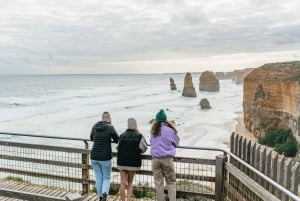 Från Melbourne: Dagsutflykt till Great Ocean Road för en liten grupp