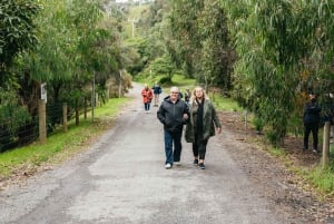 Från Melbourne: Dagsutflykt till Great Ocean Road för en liten grupp