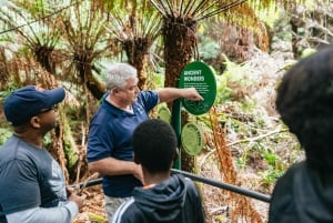 Från Melbourne: Dagsutflykt till Great Ocean Road för en liten grupp
