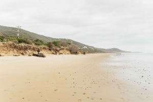 Från Melbourne: Dagsutflykt till Great Ocean Road för en liten grupp