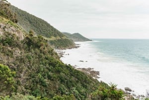 Från Melbourne: Dagsutflykt till Great Ocean Road för en liten grupp