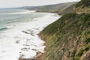 Från Melbourne: Dagsutflykt till Great Ocean Road för en liten grupp