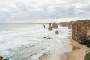 Från Melbourne: Dagsutflykt till Great Ocean Road för en liten grupp