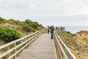 Från Melbourne: Dagsutflykt till Great Ocean Road för en liten grupp