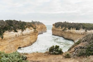 Från Melbourne: Dagsutflykt till Great Ocean Road för en liten grupp