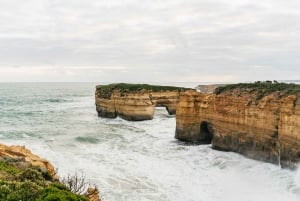 Från Melbourne: Dagsutflykt till Great Ocean Road för en liten grupp