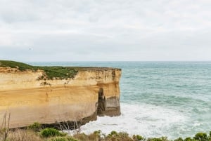 Från Melbourne: Dagsutflykt till Great Ocean Road för en liten grupp