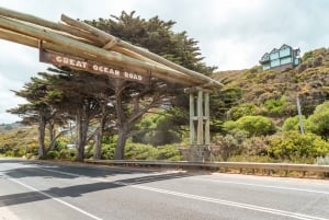 メルボルン発：少人数グループ グレート オーシャン ロード ツアー