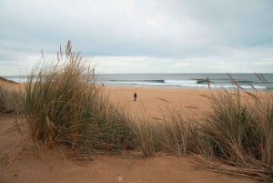 メルボルン発：少人数グループ グレート オーシャン ロード ツアー