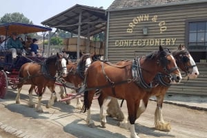 Sovereign Hill & 12 Apostle Private Tour – Up to 14 pax