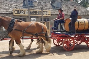 Sovereign Hill & 12 Apostle Private Tour – Up to 14 pax