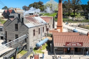 Sovereign Hill Gold Mining Town Chinese Speaking Tour