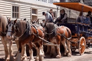 Sovereign Hill Gold Mining Day Tour (In Chinese)
