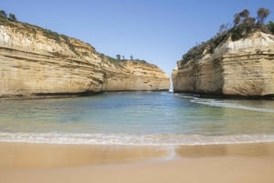 From Melbourne: Great Ocean Road Explorer - Day Tour.