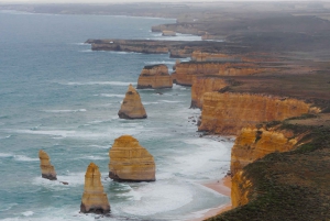 From Melbourne: Twelve Apostles & Lord Ard Gorge Day Tour