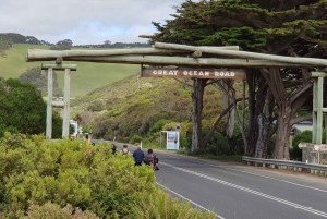 From Melbourne: Ultimate 2-Day Great Ocean Road Tour