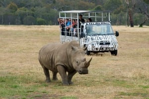 From Melbourne: Werribee Open Range Zoo & Werribee Mansion