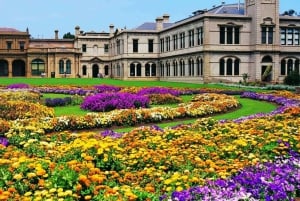 From Melbourne: Werribee Open Range Zoo & Werribee Mansion