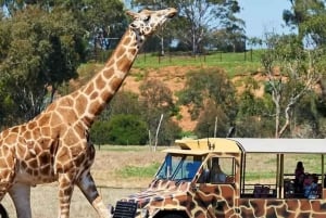 From Melbourne: Werribee Open Range Zoo & Werribee Mansion