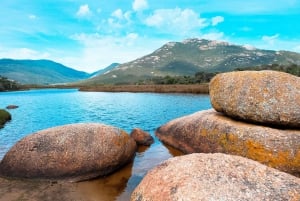 From Melbourne: Wilsons Promontory Day Tour