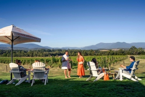 From Melbourne: Yarra Valley Chandon Cheese & Kangaroos Tour