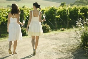 From Melbourne: Yarra Valley Chandon Cheese & Kangaroos Tour