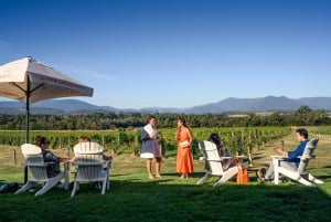 From Melbourne: Yarra Valley Hop-On-Hop-Off Bus Ticket