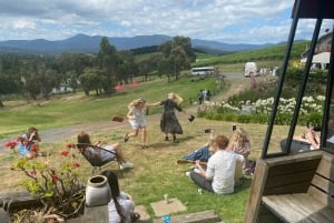 From Melbourne: Yarra Valley Wine, Gin, Chocolate Day Trip