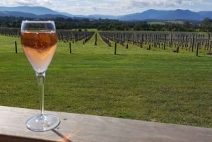 From Melbourne: Yarra Valley Wine, Gin, Chocolate Day Trip