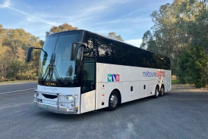 From Sydney: One Way Express Bus Transfer to Melbourne