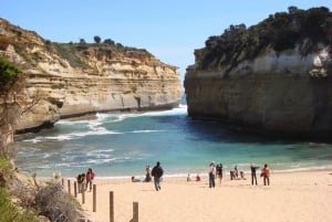 From The Great Ocean Road Adventure Day Tour