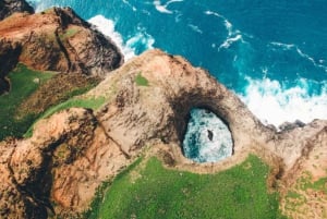 From Windsor: 2-Day Phillip Island & Wilsons Promontory Tour