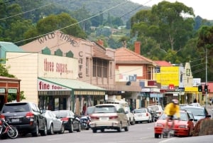 Raccolta di frutta e tour naturalistico Yarra Valley e Warburton