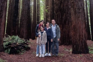 Raccolta di frutta e tour naturalistico Yarra Valley e Warburton