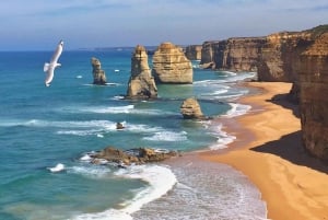 Full Day Great Ocean Road Private Guided Tour