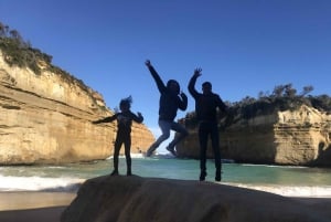 Full Day Great Ocean Road Private Guided Tour