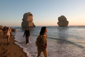 Private Tour: Full Day Great Ocean Road Tour