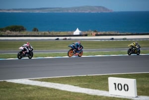 Privat heldagstur till Phillip Island med djurliv i Australien