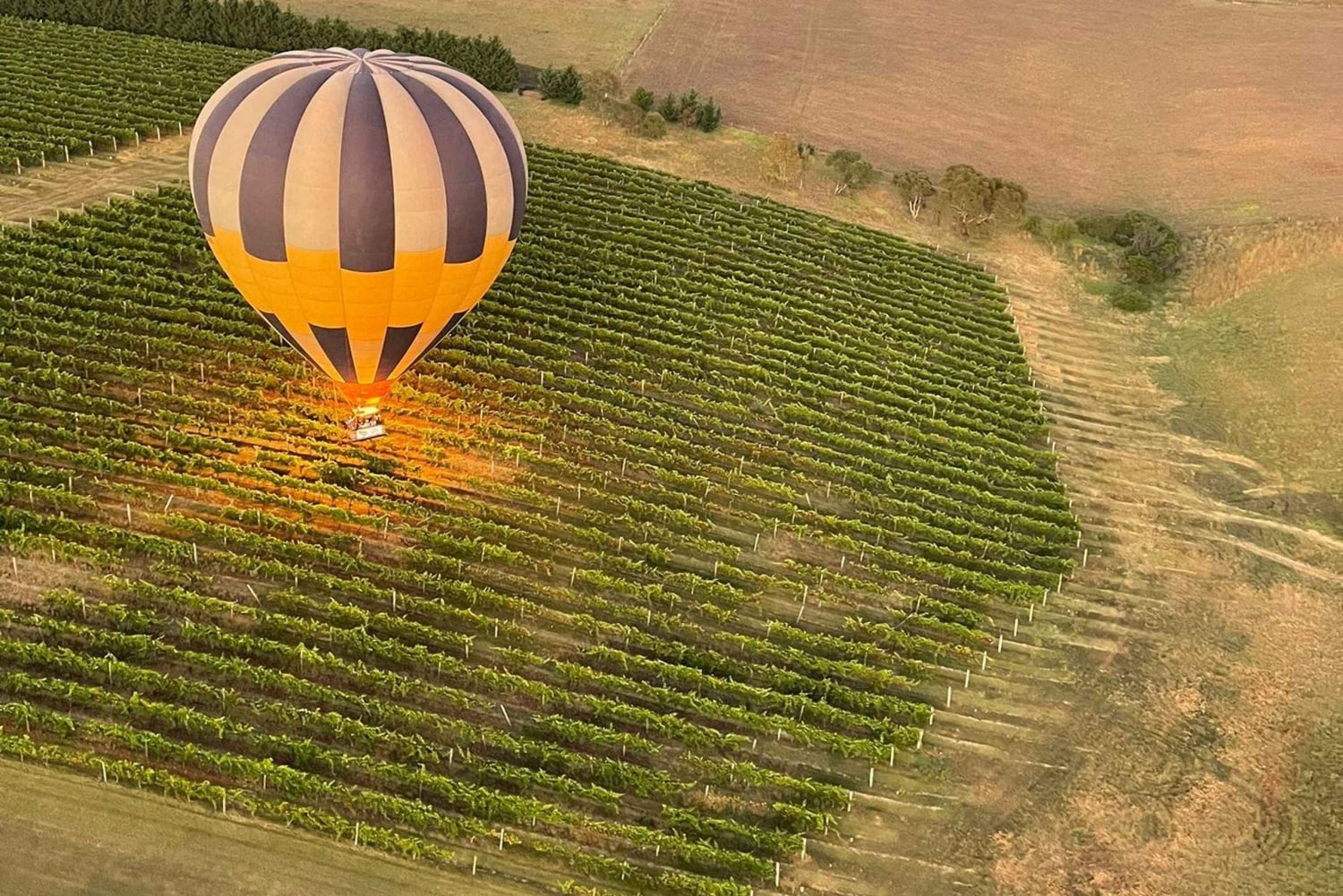 Lot balonem nad Geelong