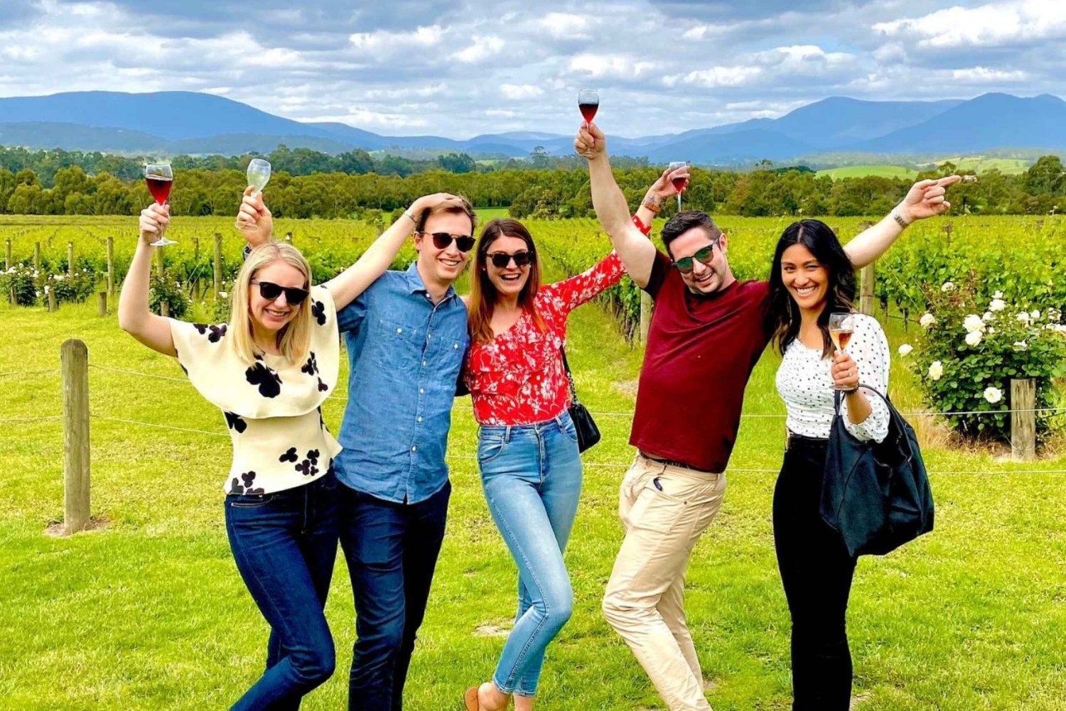 Premium Yarra Valley Wine & Food Tour with 2-Course Lunch