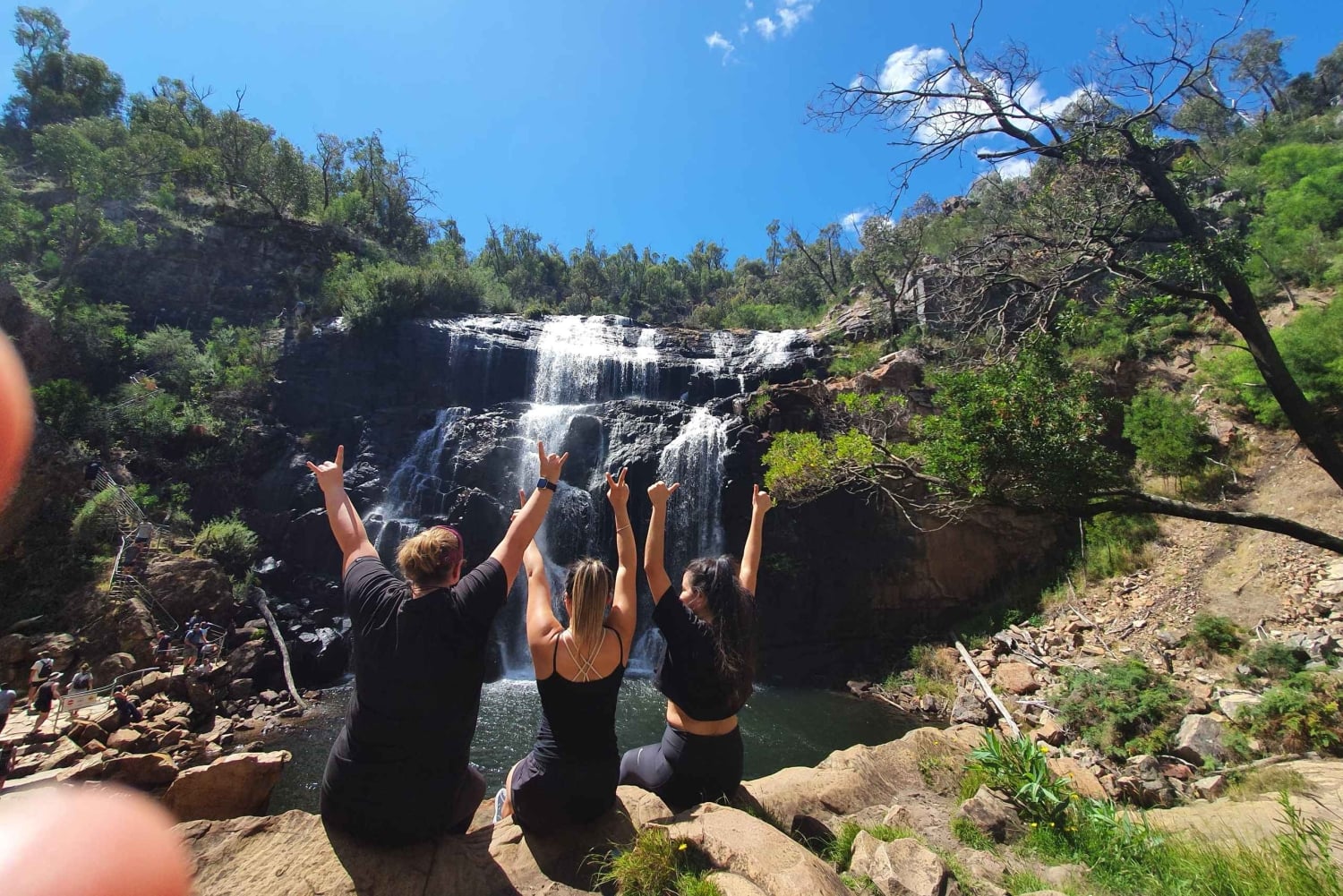 Grampians: vandring og dyreliv i små grupper
