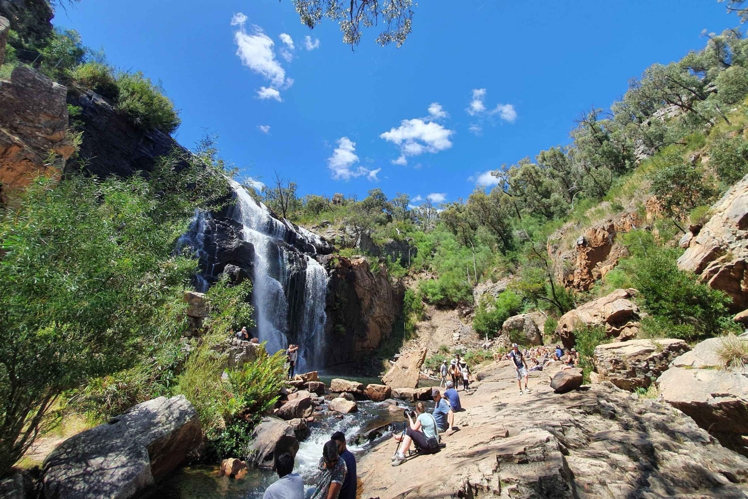 Grampians: vandring og dyreliv i små grupper