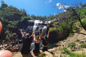 Grampians: vandring og dyreliv i små grupper