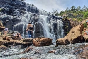 Grampians: vandring og dyreliv i små grupper
