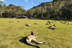 Grampians: vandring og dyreliv i små grupper