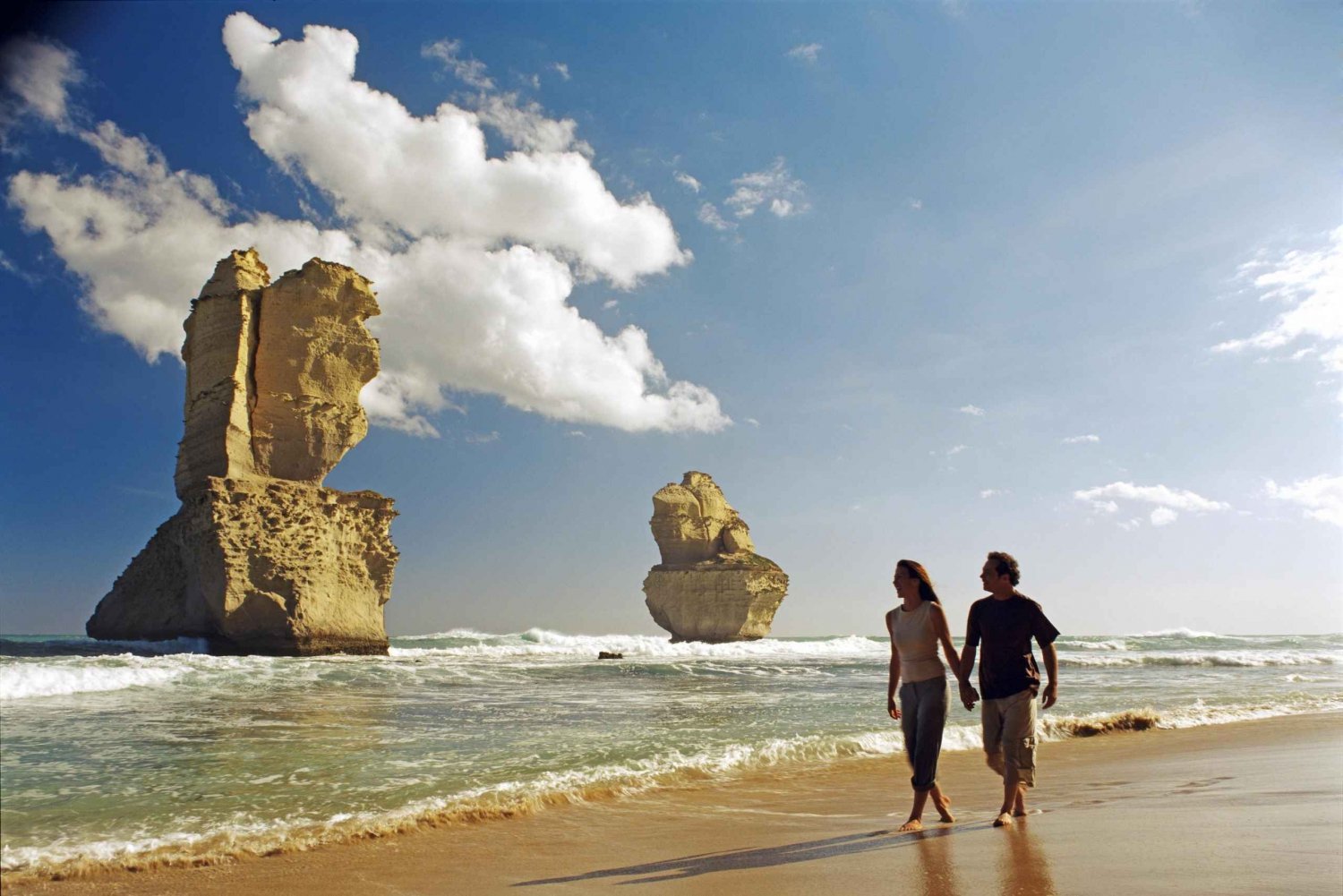 Melbourne: Great Ocean Road, Penguin Parade & Free City Tour