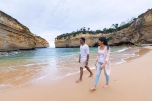 Melbourne: Great Ocean Road, Penguin Parade & Free City Tour